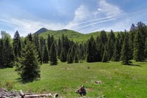 atoria-dokozina-plan-dsc05563-stitch_orig